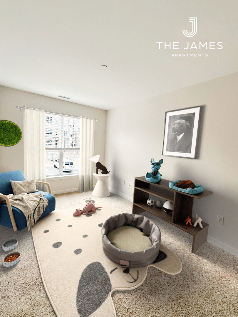 The James | a room with a chair and dog toys | Pet-Friendly apartments for rent